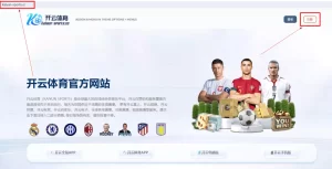 访问开云体育的官方网站