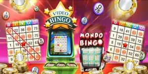 Bingo 开云体育的魅力